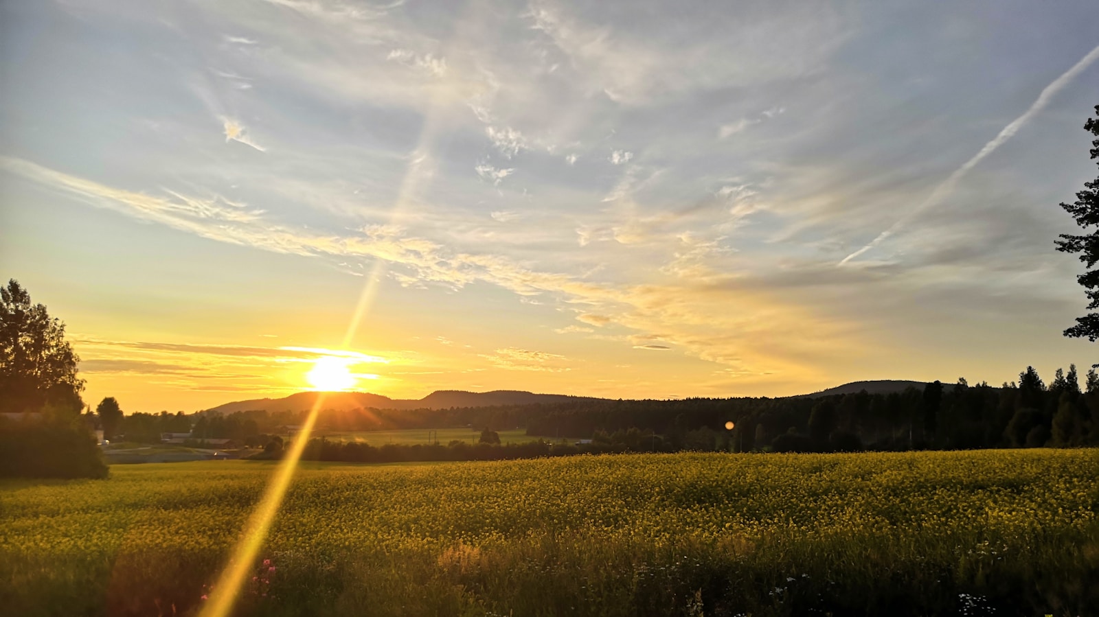 Olika aktiviteter i sommar